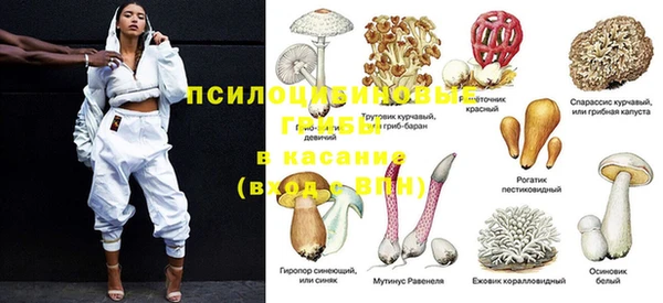 а пвп мука Краснослободск