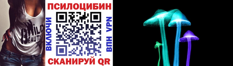 Купить закладки  Бабаево  Псилоцибиновые грибы мухоморы 